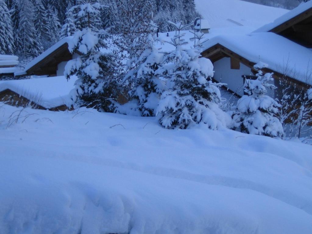 Appartement Bergblick Neustift im Stubaital Extérieur photo