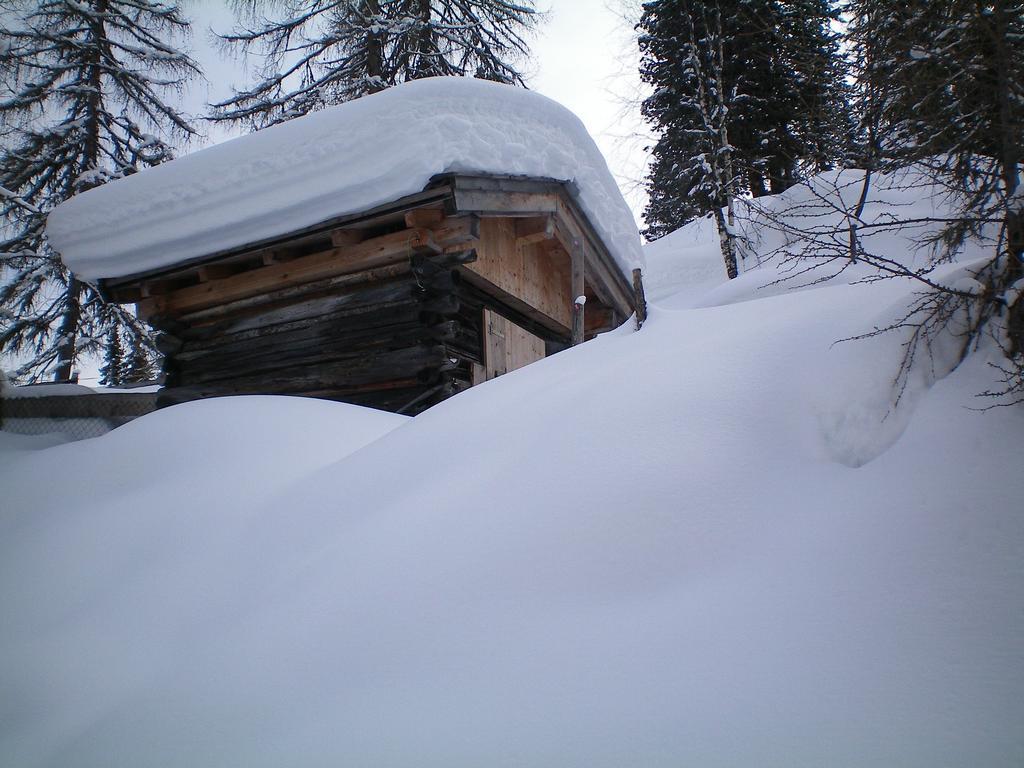 Appartement Bergblick Neustift im Stubaital Extérieur photo