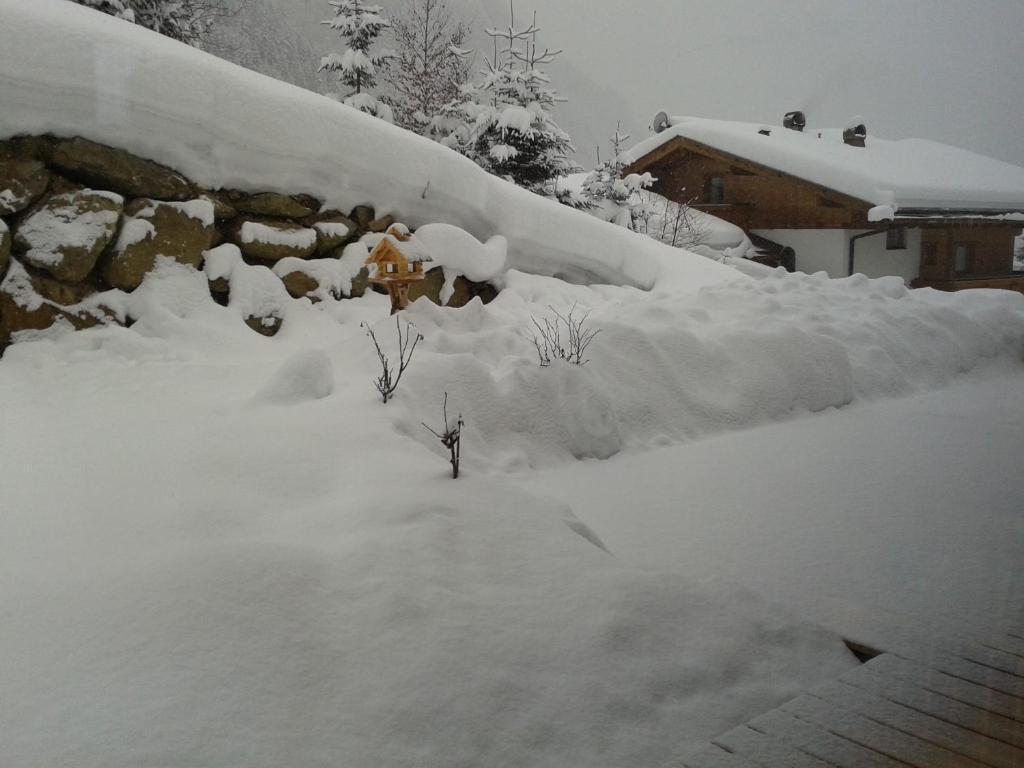 Appartement Bergblick Neustift im Stubaital Extérieur photo